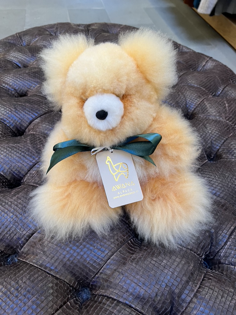 Teddy Bear Honey M